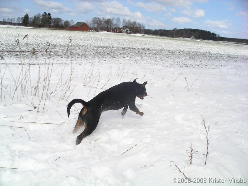 IMGP0985