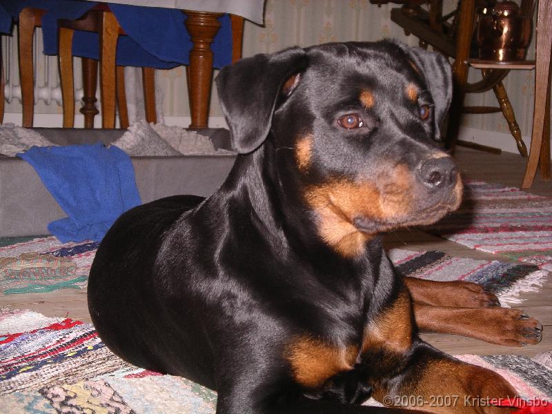 IMGP0768