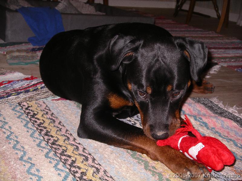 IMGP0770