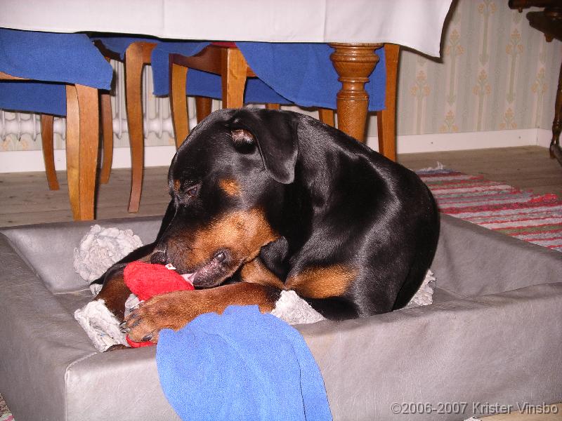 IMGP0774