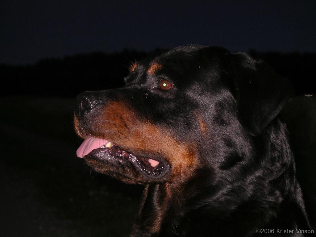 IMGP0520
