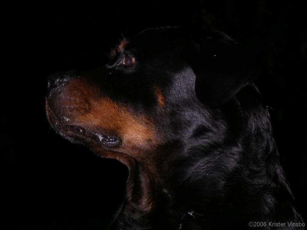 IMGP0587